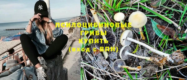 не бодяженный Алексеевка