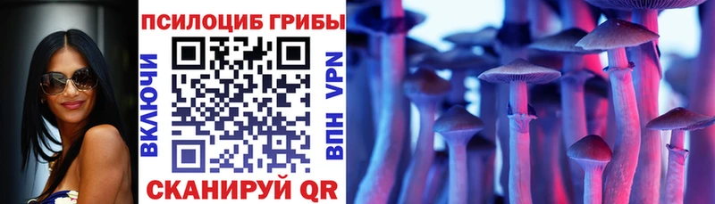Псилоцибиновые грибы мухоморы  где найти   Кемь 